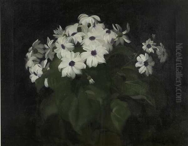 Still Life With White Blooms Oil Painting by Stuart James Park