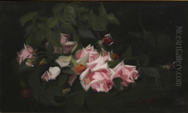 Pink Roses Oil Painting by Stuart James Park