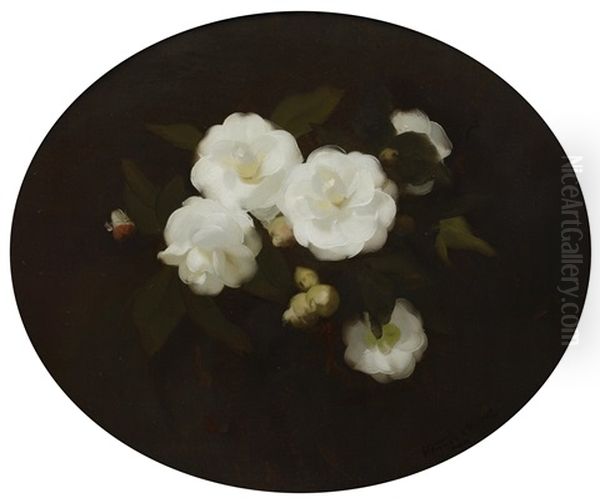 White Roses Oil Painting by Stuart James Park