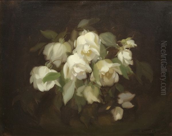 Lemon Roses Oil Painting by Stuart James Park