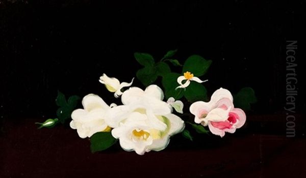 Resting Roses Oil Painting by Stuart James Park