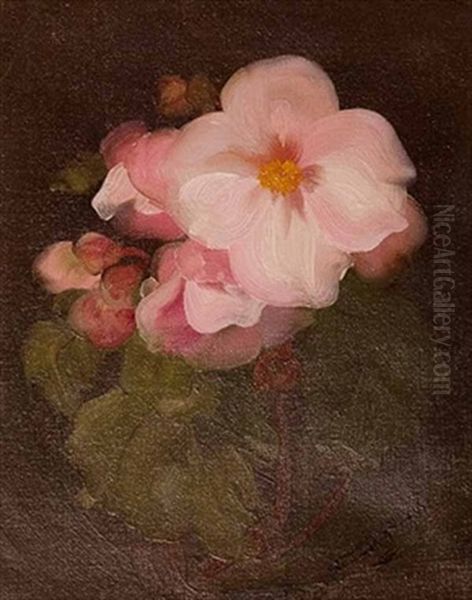 Still Life In Pink Oil Painting by Stuart James Park