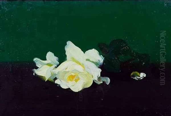 White Rose Oil Painting by Stuart James Park