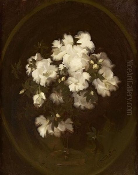 Still Life Of White Roses Oil Painting by Stuart James Park