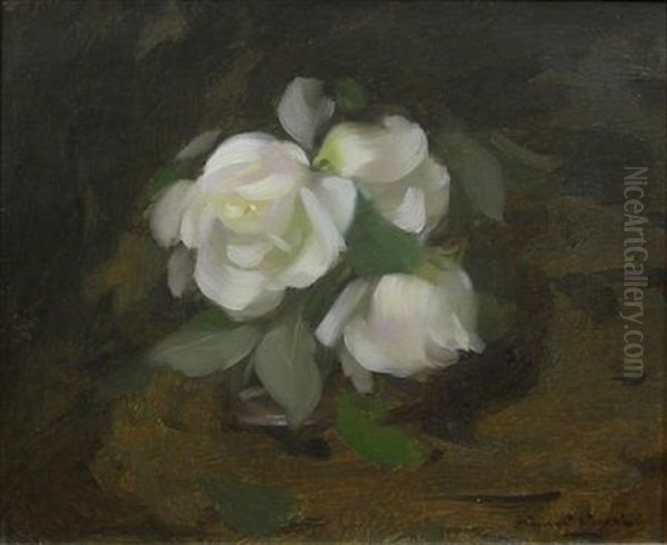 White Roses Oil Painting by Stuart James Park