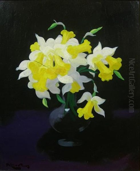 Still Life With Daffodils Oil Painting by Stuart James Park