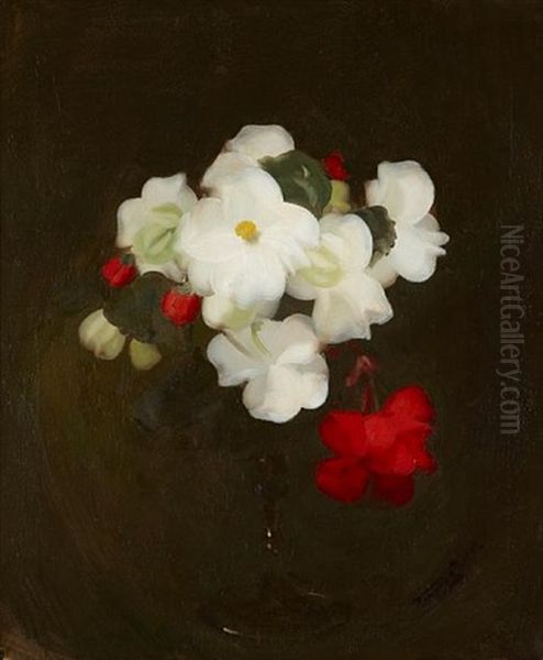 Peony Roses Oil Painting by Stuart James Park