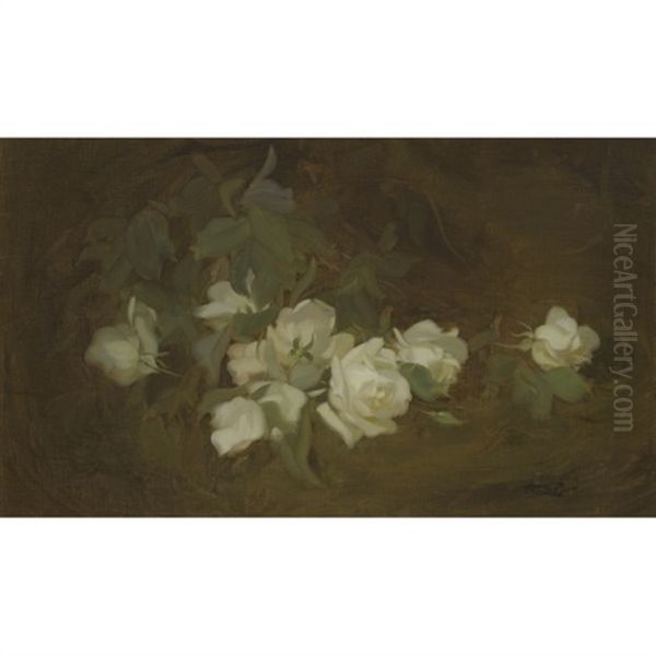 Cream Roses Oil Painting by Stuart James Park