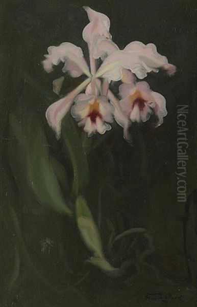 Pink Orchid Oil Painting by Stuart James Park