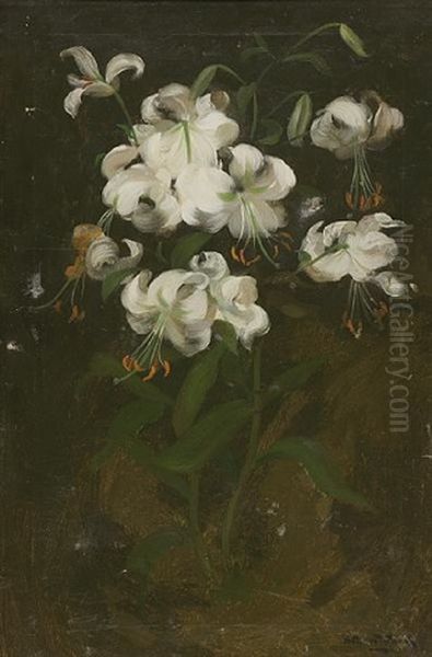 White Lilies Oil Painting by Stuart James Park