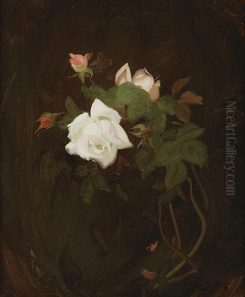 Cream And Pink Roses Oil Painting by Stuart James Park