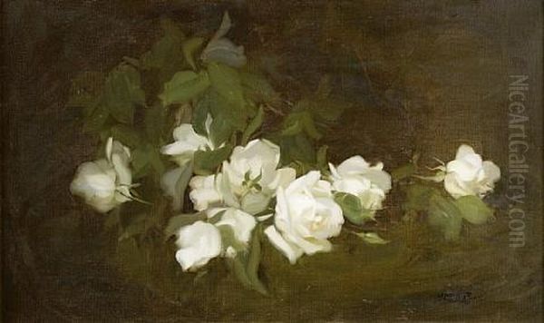 White Roses by Stuart James Park