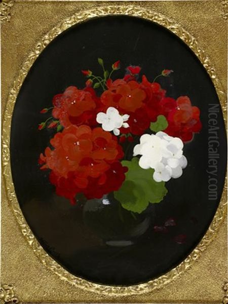 A Still Life Of Red And White Geraniums Oil Painting by Stuart James Park