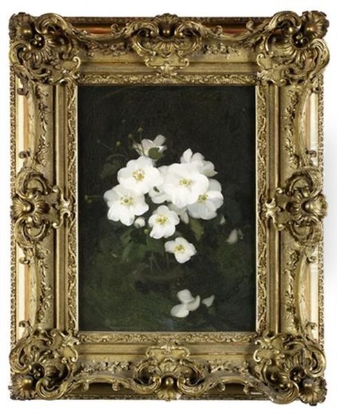 A Still Life Of White Roses Oil Painting by Stuart James Park