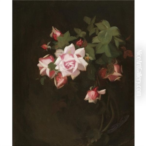 Still Life With Pink Roses Oil Painting by Stuart James Park