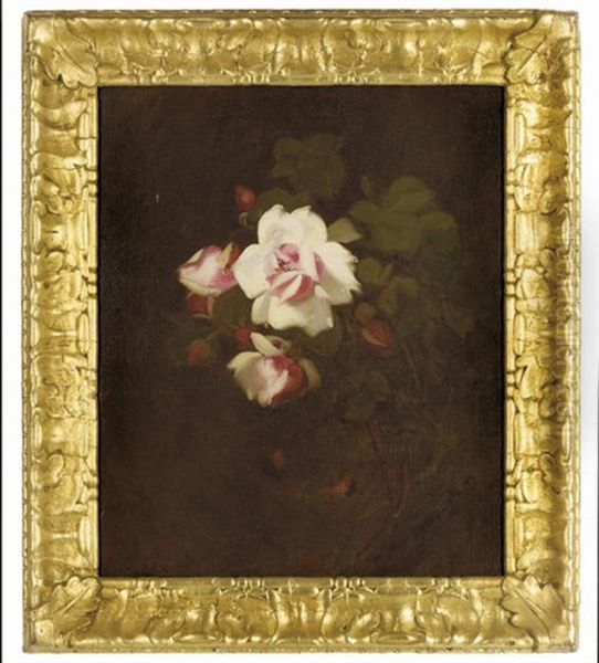 Pink Roses Oil Painting by Stuart James Park