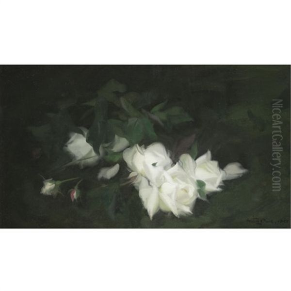 White Roses Oil Painting by Stuart James Park