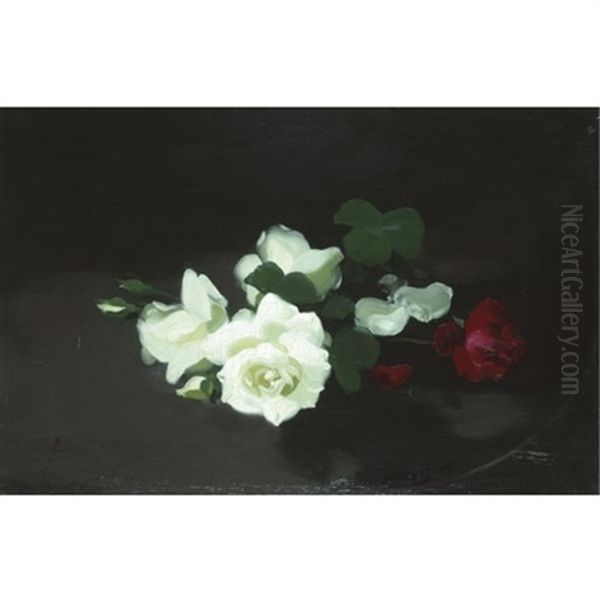 Red And White Roses Oil Painting by Stuart James Park