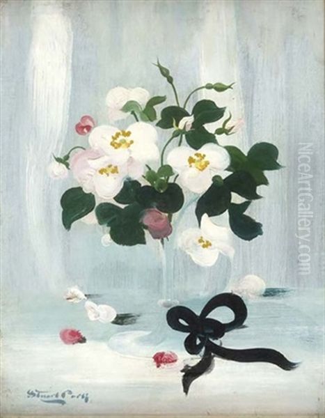 A Still Life Of White And Pink Roses by Stuart James Park