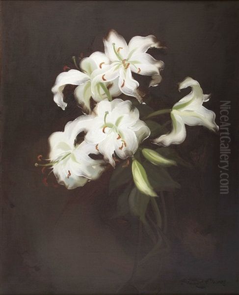 Still Life Of White Lilies by Stuart James Park