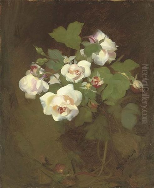 Pink Roses Oil Painting by Stuart James Park