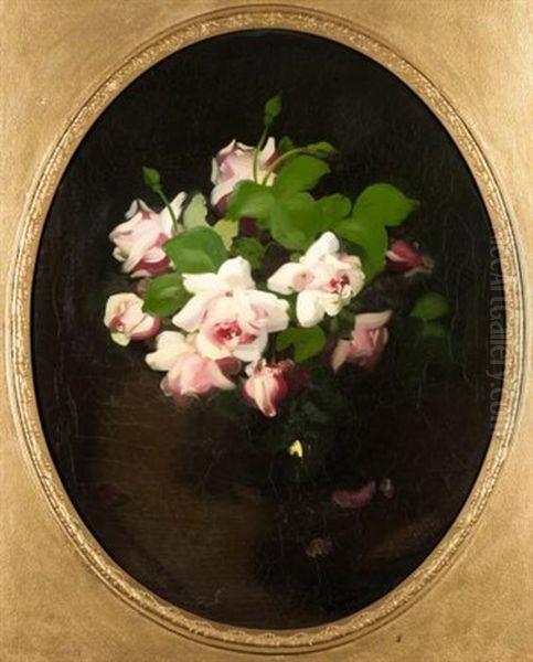 Pink Roses Oil Painting by Stuart James Park