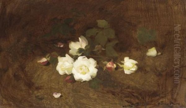 Pink And White Roses Oil Painting by Stuart James Park