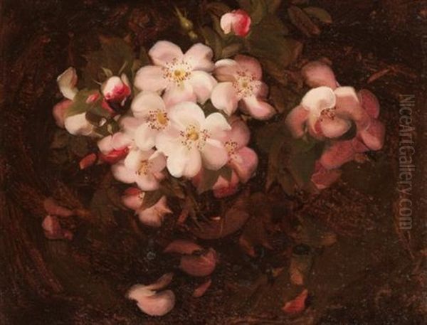 Still Life With Pink Wild Roses Oil Painting by Stuart James Park