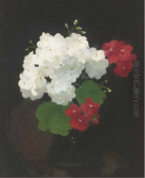 Still Life Of Geraniums In A Vase Oil Painting by Stuart James Park