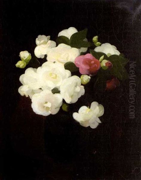 Still Life With White And Red Roses Oil Painting by Stuart James Park