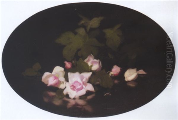 Pink Roses Oil Painting by Stuart James Park