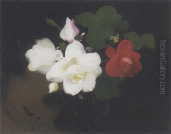 Red And White Roses Oil Painting by Stuart James Park