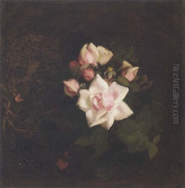 Pink Roses Oil Painting by Stuart James Park