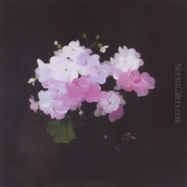 Still Life With Pink Geraniums Oil Painting by Stuart James Park