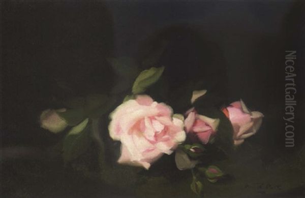 Pink Roses Oil Painting by Stuart James Park