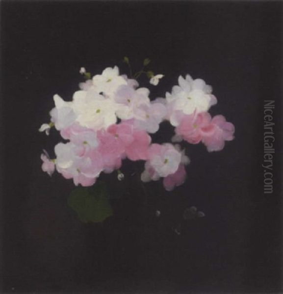 Pink And White Camellias Oil Painting by Stuart James Park