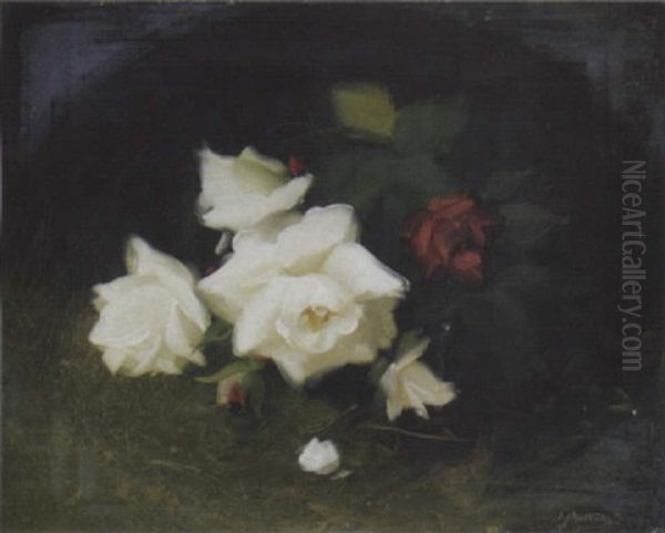 White And Red Roses Oil Painting by Stuart James Park