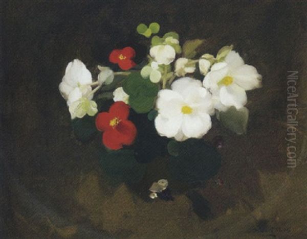 White And Red Camellias Oil Painting by Stuart James Park