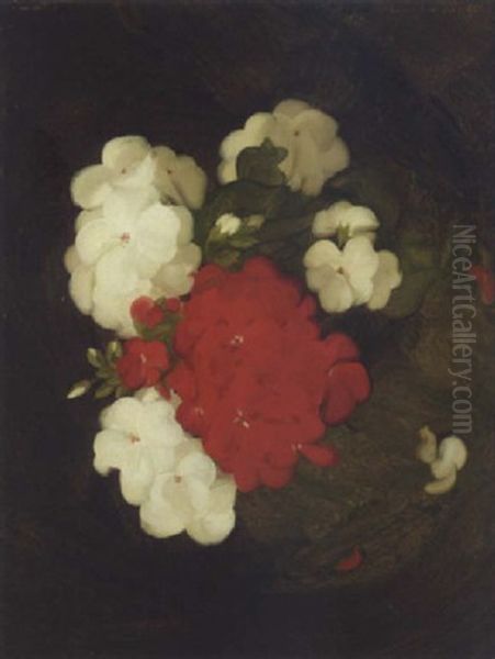 A Still Life Of Geraniums Oil Painting by Stuart James Park