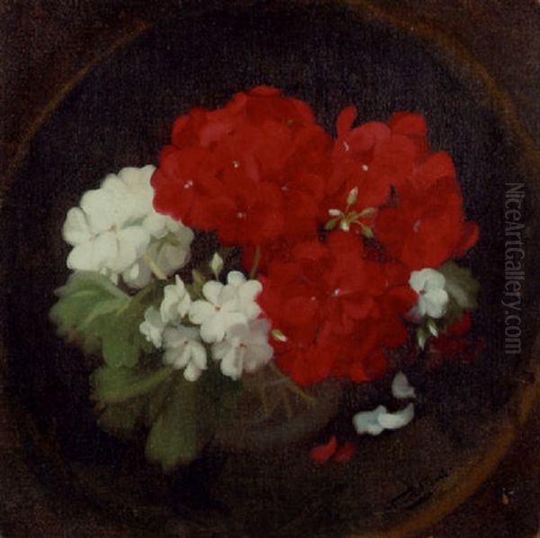 Geraniums Oil Painting by Stuart James Park