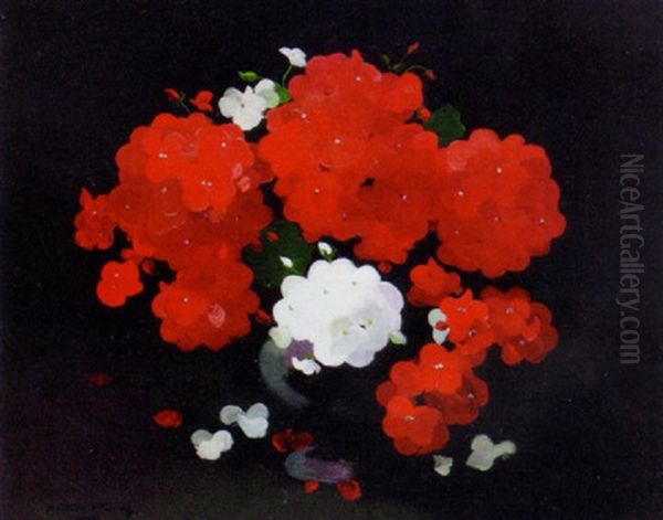 Red And White Geraniums Oil Painting by Stuart James Park