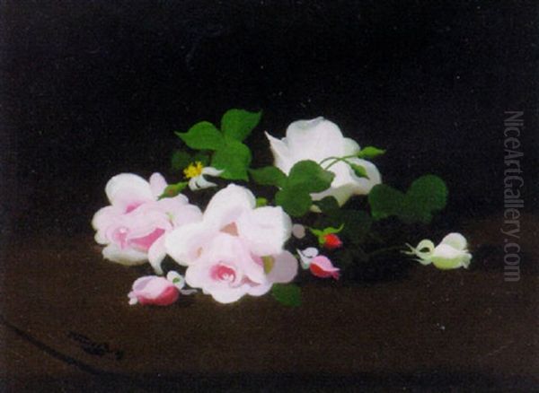 Pink And White Roses Oil Painting by Stuart James Park