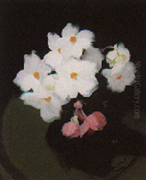 Still Life With Pink And White Flowers Oil Painting by Stuart James Park