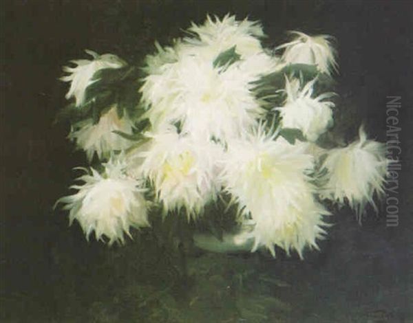 Chrisanthemums Oil Painting by Stuart James Park