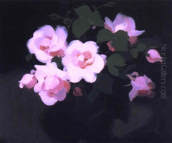 Pink Roses Oil Painting by Stuart James Park