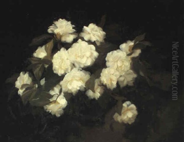 White Camellias Oil Painting by Stuart James Park