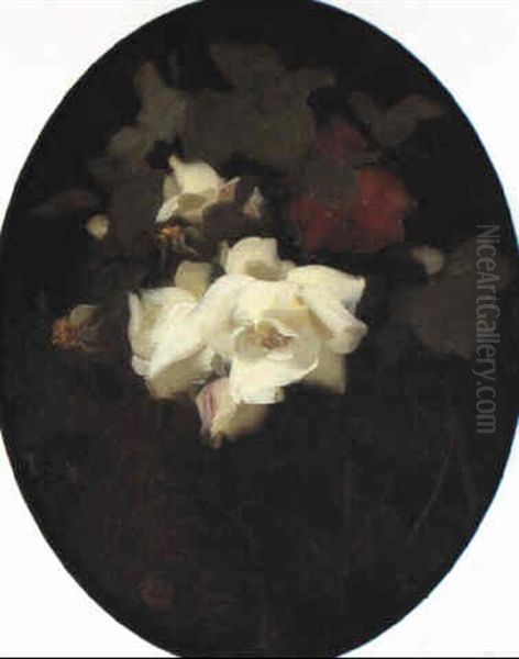 Cream And Red Roses Oil Painting by Stuart James Park