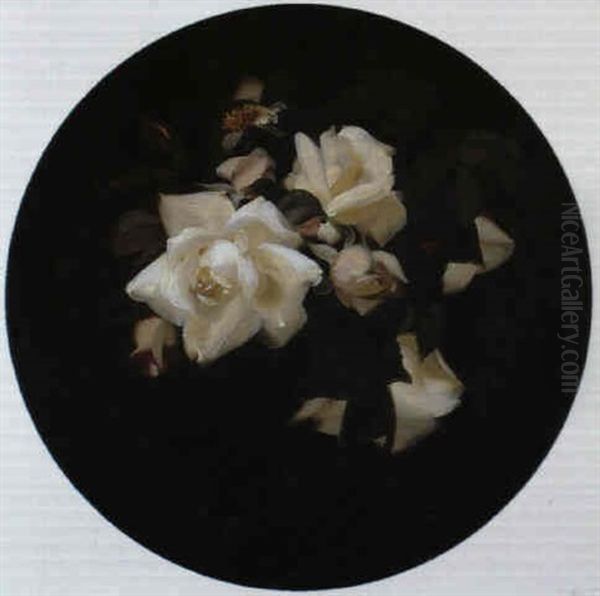 White Roses Oil Painting by Stuart James Park