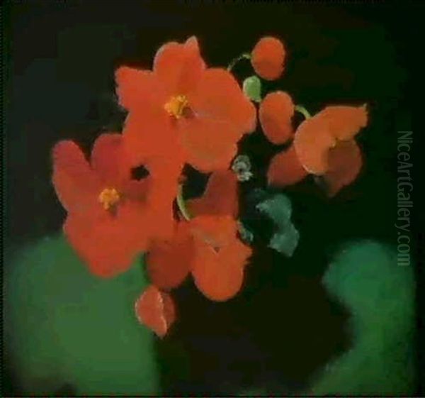 Red Begonias Oil Painting by Stuart James Park