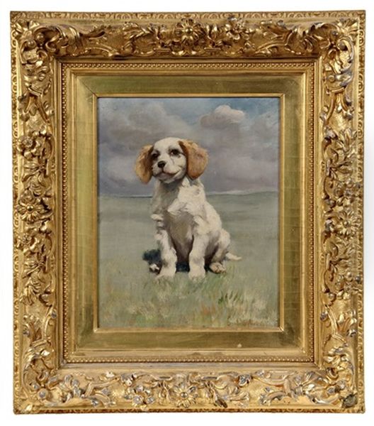 Spaniel Puppy In Sunny Field Oil Painting by Charles S. Parker